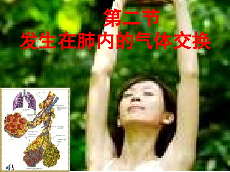 发生在肺内的气体交换.ppt_第1页