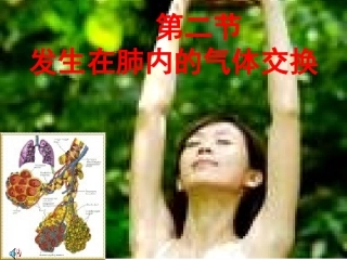 发生在肺内的气体交换.ppt