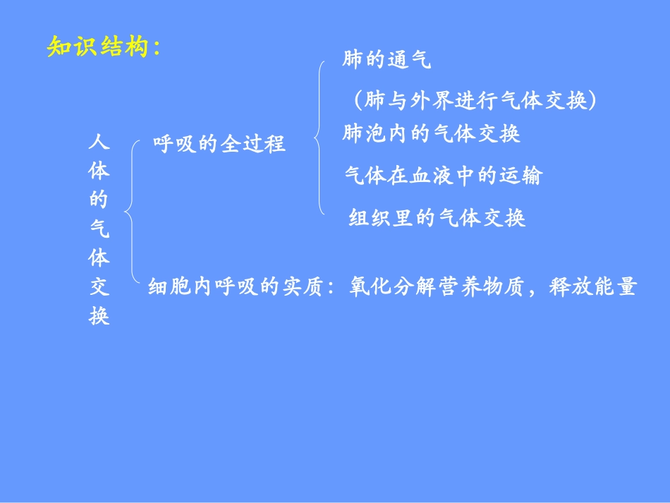 发生在肺内的气体交换1-(1)_第2页