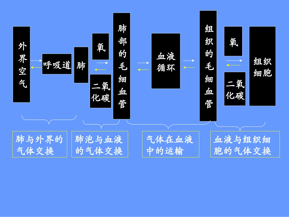 发生在肺内的气体交换1-(1)_第3页