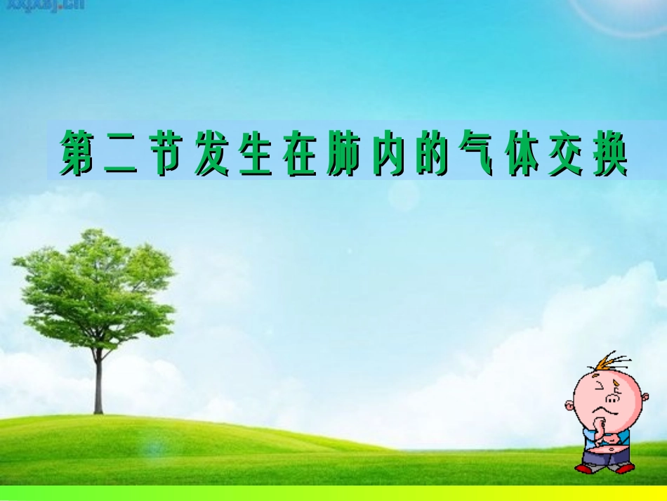 发生在肺内的气体交换.ppt._第2页