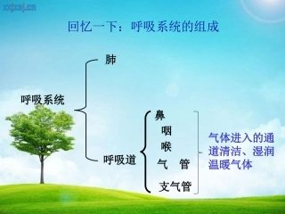 发生在肺内的气体交换.ppt.