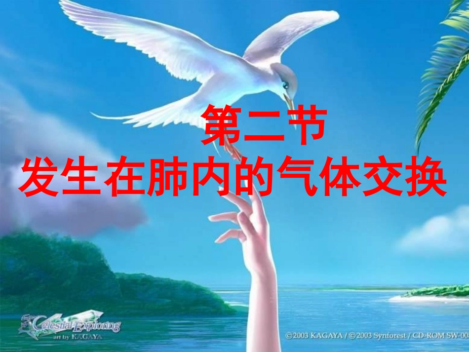 发生在肺内的气体交换(修改)_第2页