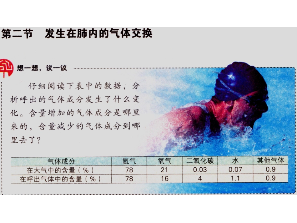 发生在肺内的气体交换(修改)_第3页