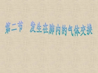 发生在肺内的气体交换-2