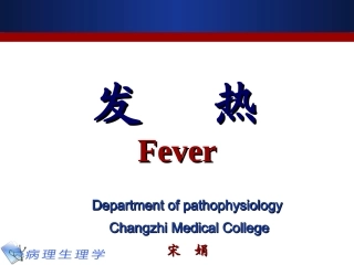 发热2010本