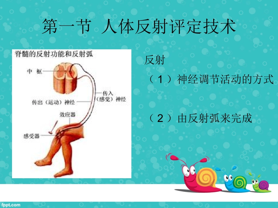 反射评定与人体发育_第2页