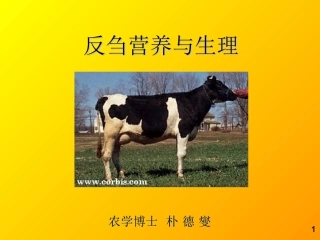 反刍动物的营养和生理--韩国060614)