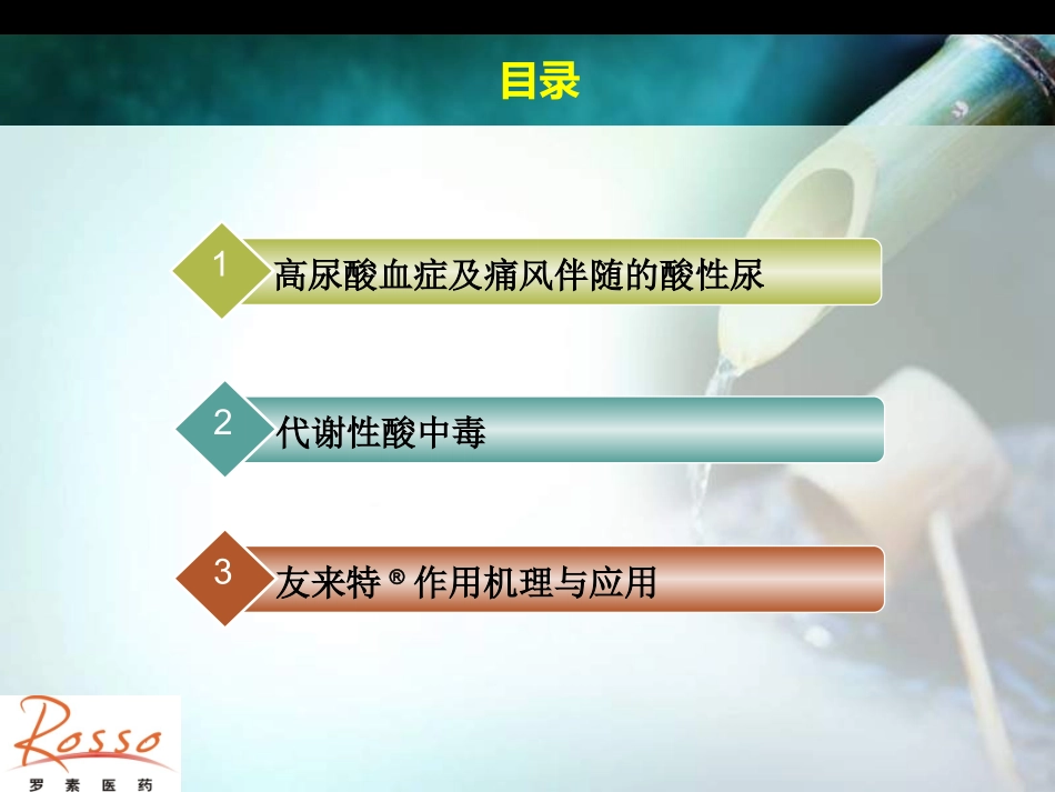 友来特改善酸性尿、酸中毒_第2页