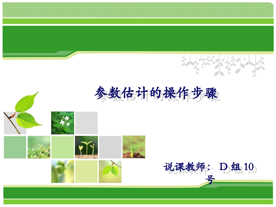 参数估计的操作步骤比赛课件_第1页