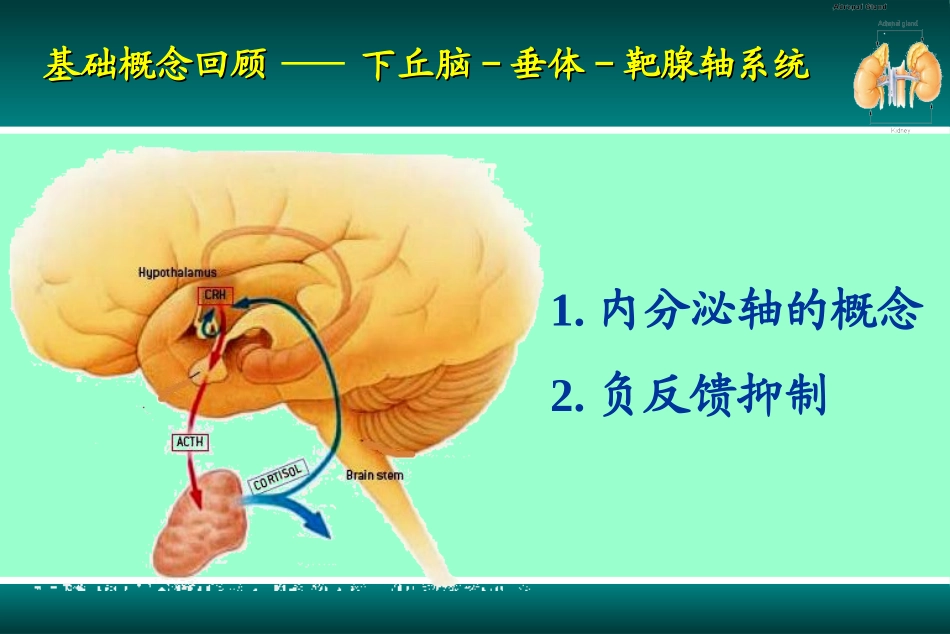 原醛addison-病_第3页