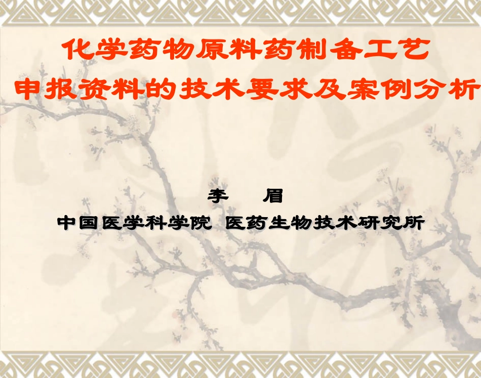 原料药工艺申报资料的技术要求及案例分析_第1页