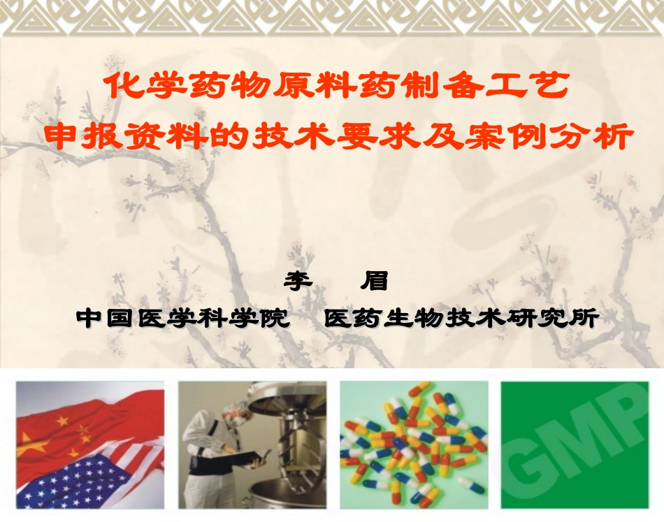 原料药申报资料技术要求_第1页