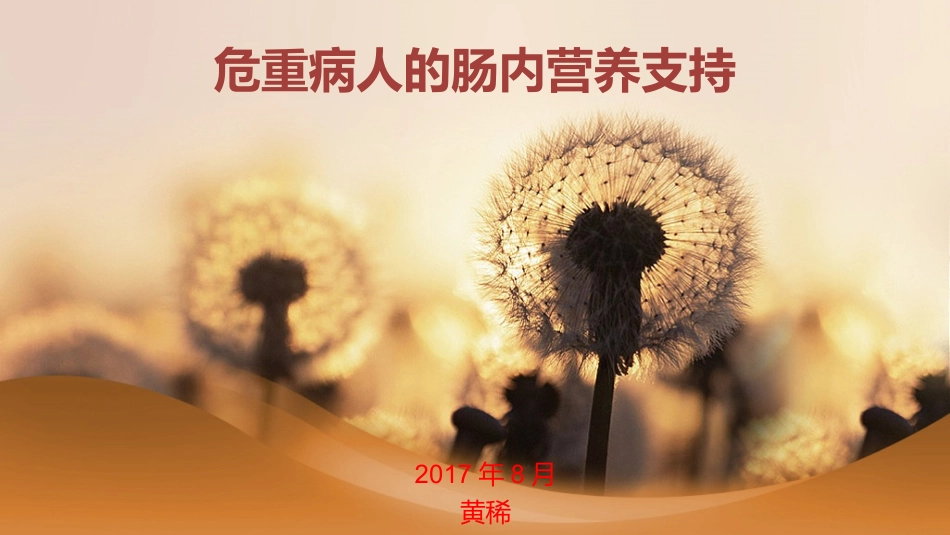 危重病人的肠内营养支持_第1页