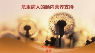 危重病人的肠内营养支持