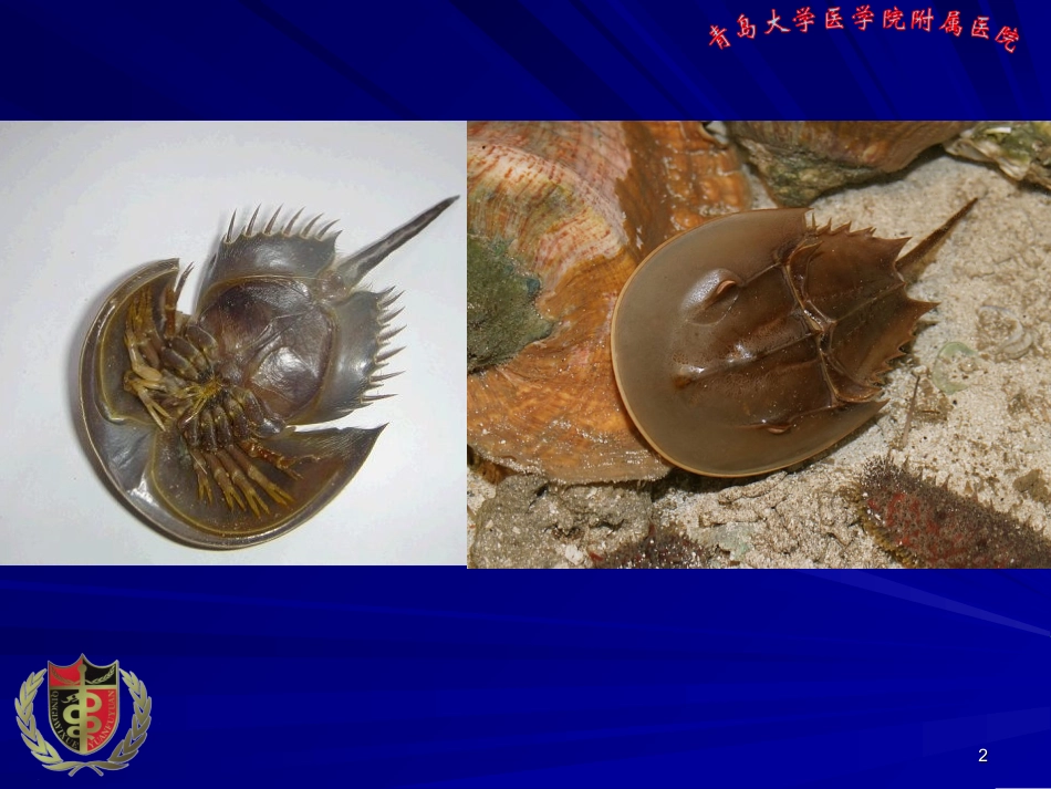 危重病人凝血异常_第2页