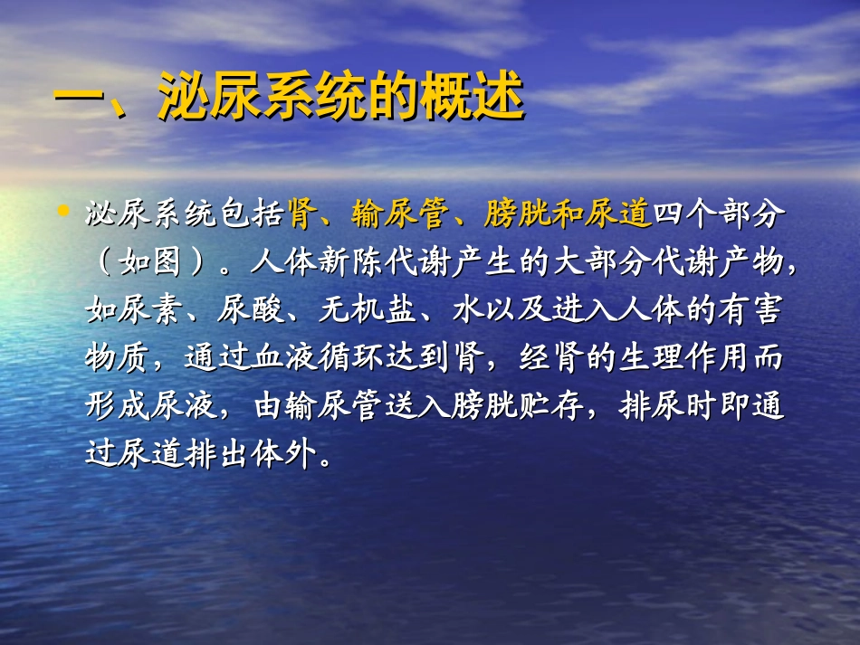 卫生学第七节-泌尿系统_第3页
