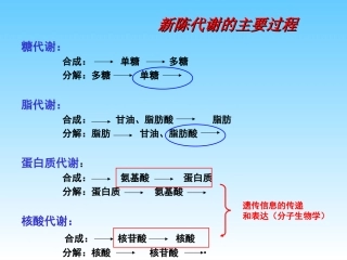 南大生化课件-糖酵解