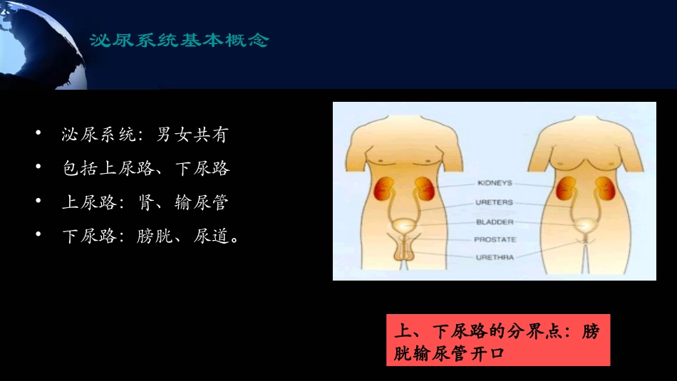 单纯性尿路感染_第2页