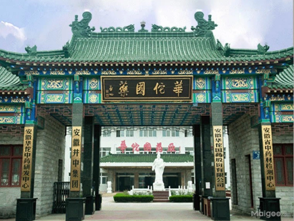 华佗国药广东连锁_第3页