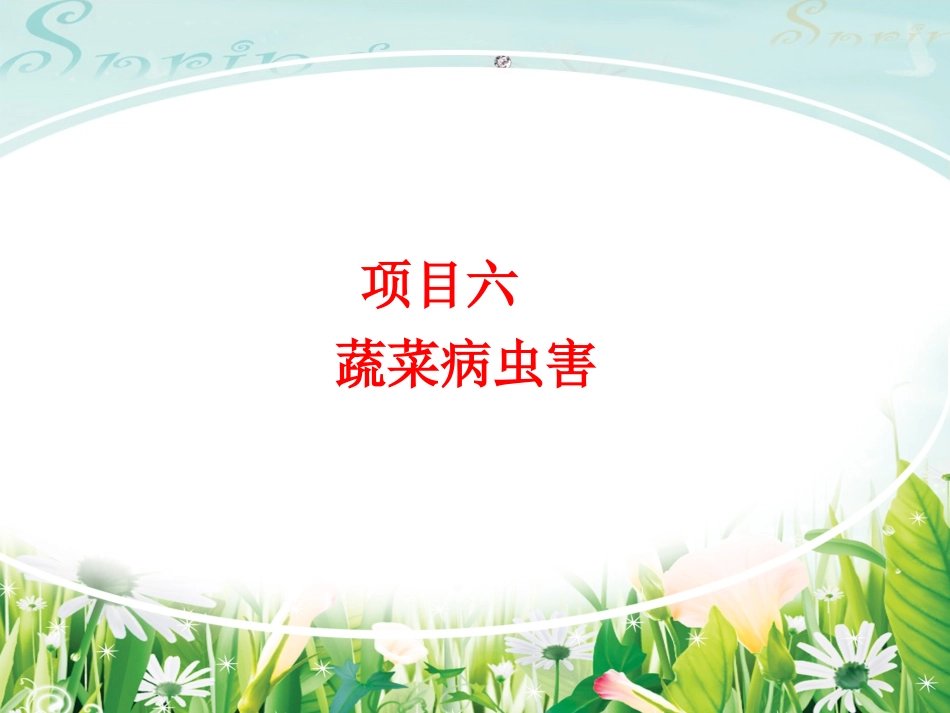 十字花科蔬菜病虫害剖析_第2页