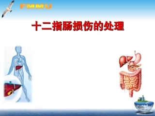 十二指肠损伤处理