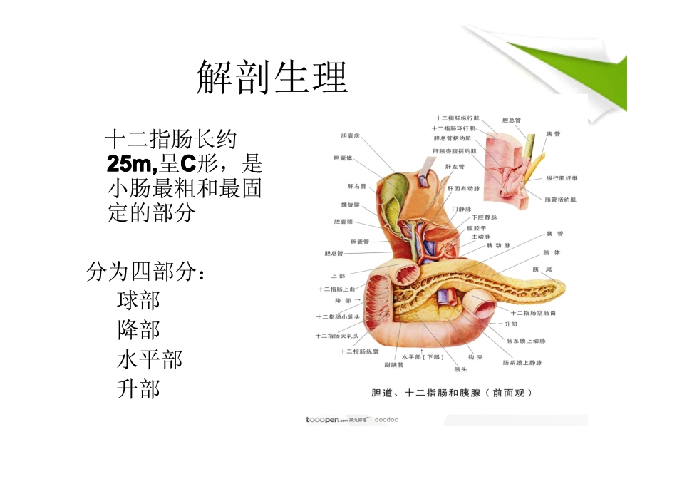 十二指肠溃疡_第3页