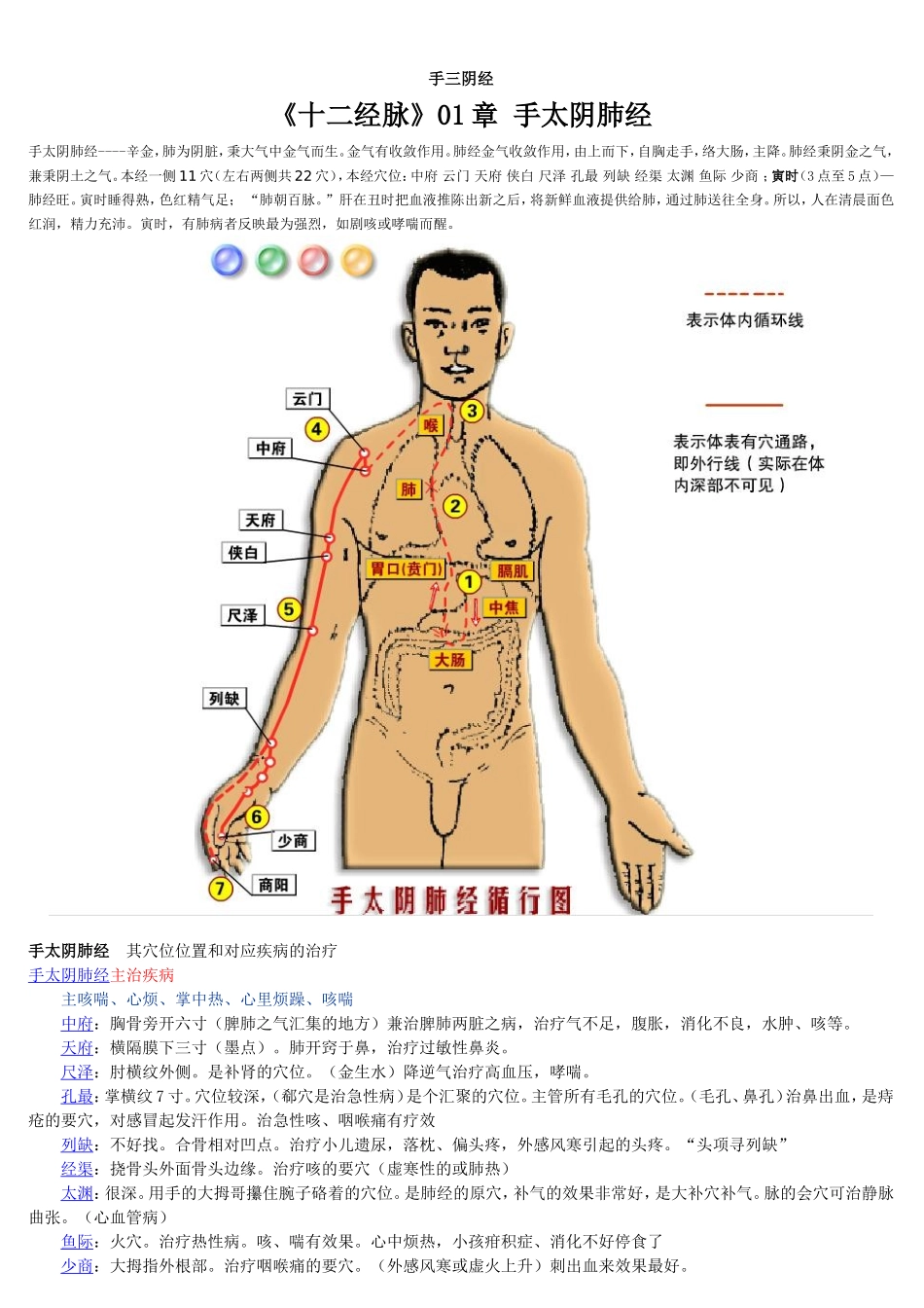 十二经脉循行图_第3页