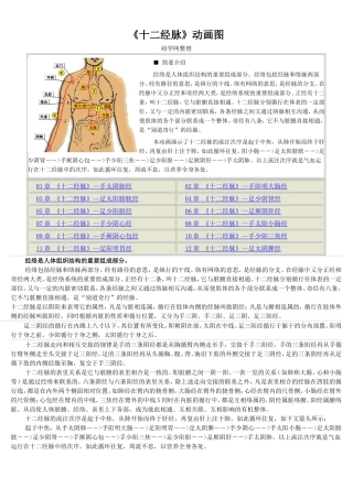 十二经脉循行图