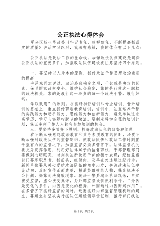 公正执法心得体会