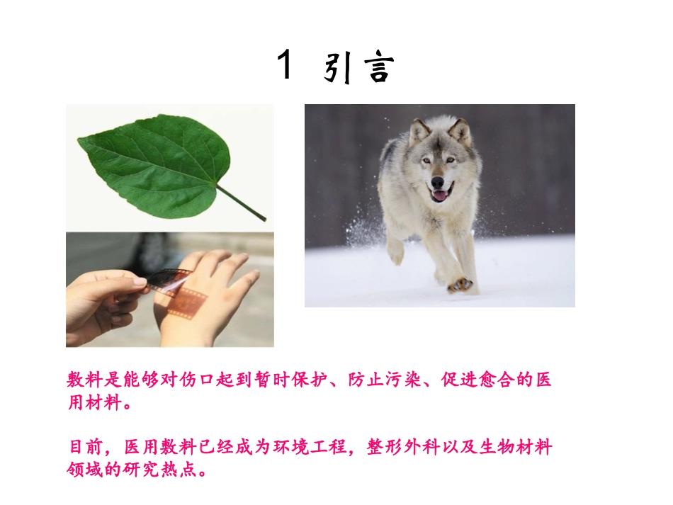 医用敷料研究现状的研究现状及其发展前景探讨_第2页