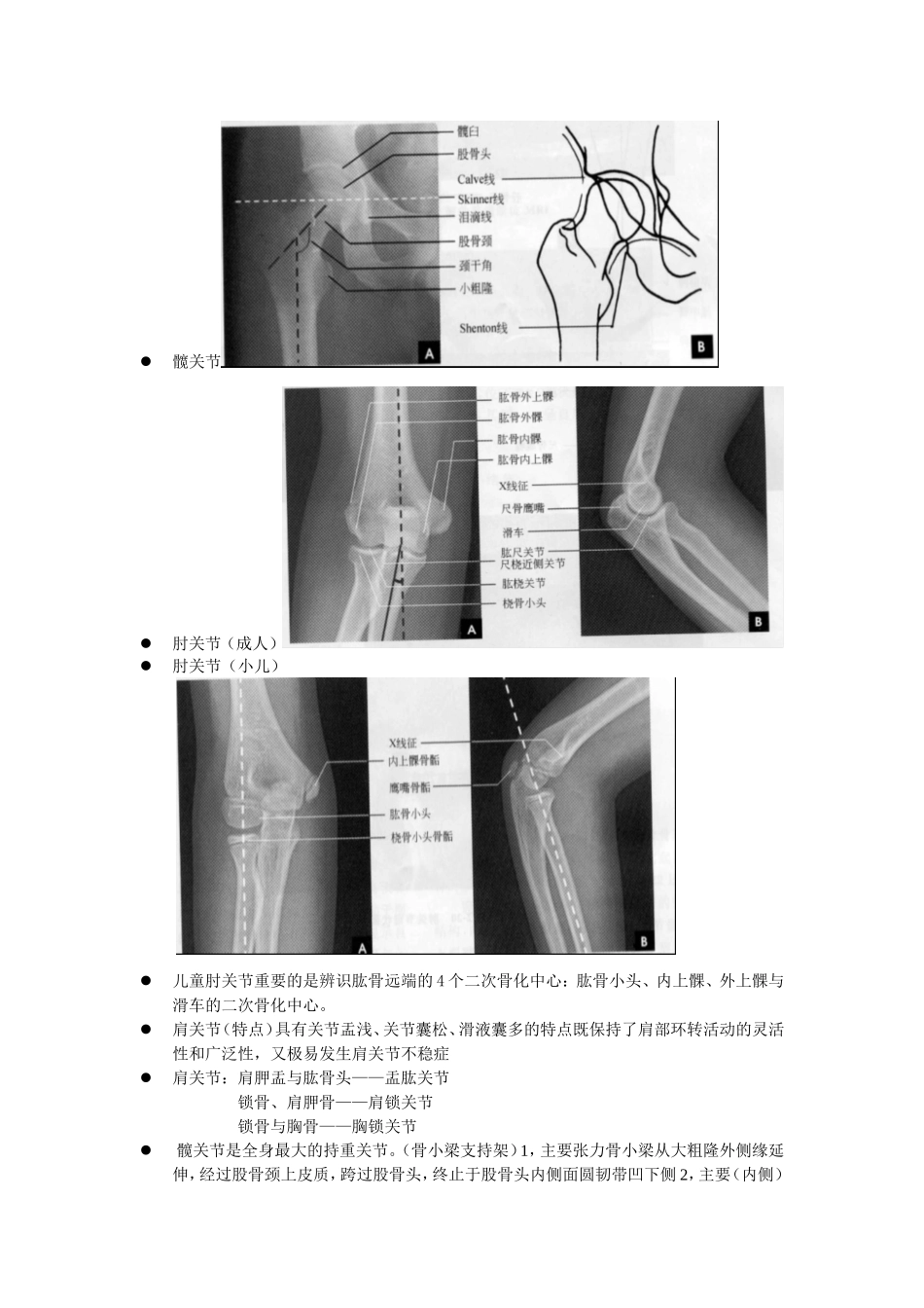 医学影像应用解剖_第2页