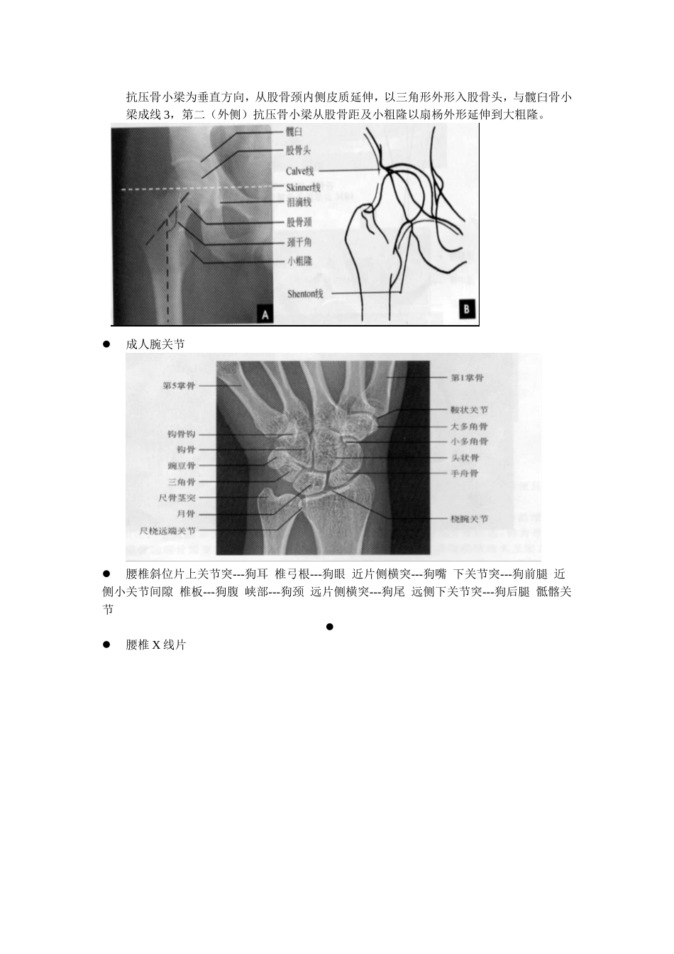 医学影像应用解剖_第3页