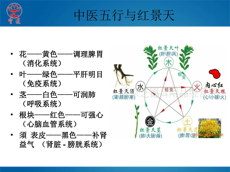 医书药典记载的红景天_第2页