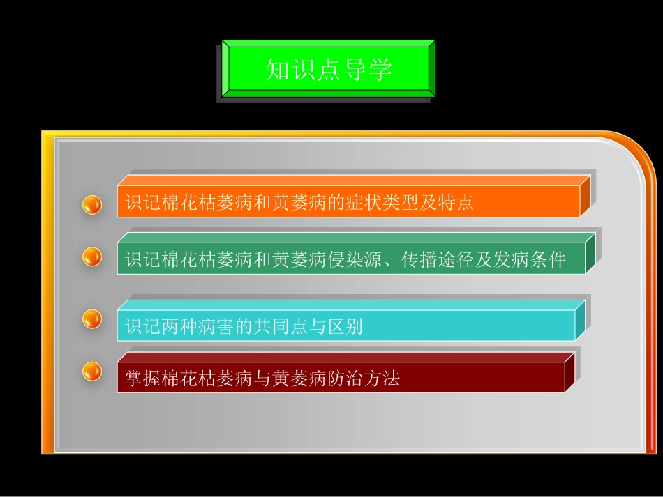 区别点棉花枯萎病棉花黄萎病_第3页