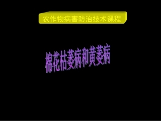 区别点棉花枯萎病棉花黄萎病