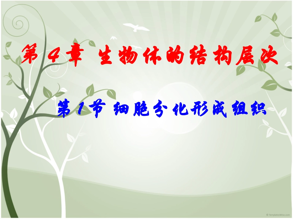 北师大版-第4章第1节--细胞分化形成组织(共25张PPT)_第1页