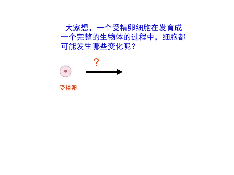 北师大版-第4章第1节--细胞分化形成组织(共25张PPT)_第3页