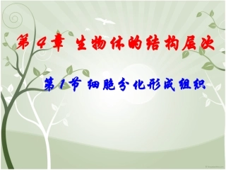 北师大版-第4章第1节--细胞分化形成组织(共25张PPT)