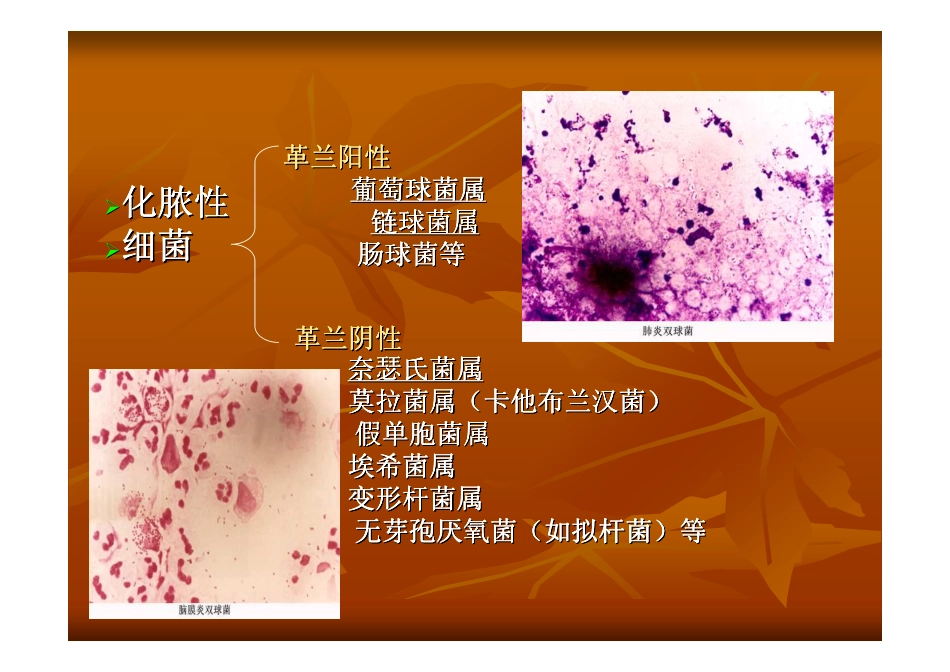 化脓性细菌化脓性细菌化脓性细菌化脓性细菌化脓性细菌..._第2页