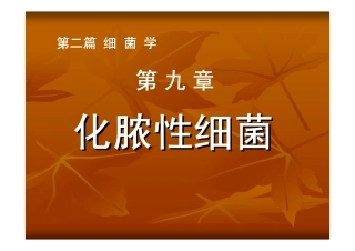化脓性细菌化脓性细菌化脓性细菌化脓性细菌化脓性细菌...