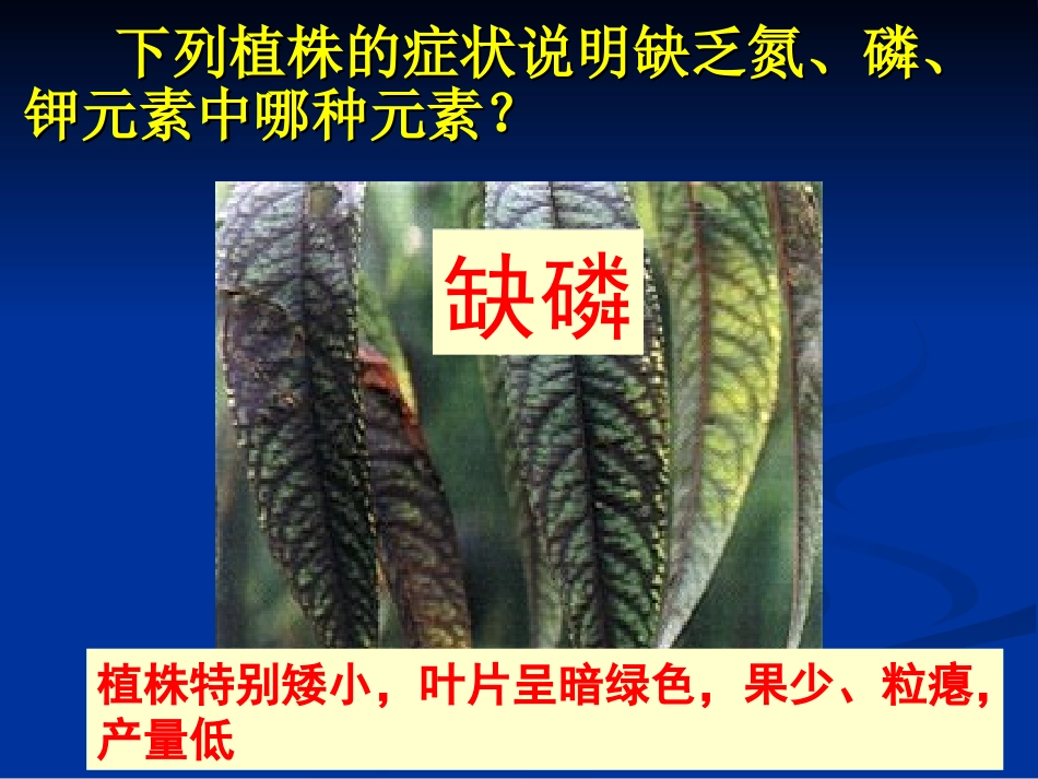 化肥简易鉴别_第3页