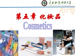 化妆品概述与皮肤