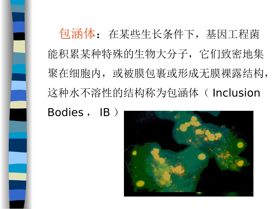 包涵体蛋白质复性-纯化_第3页