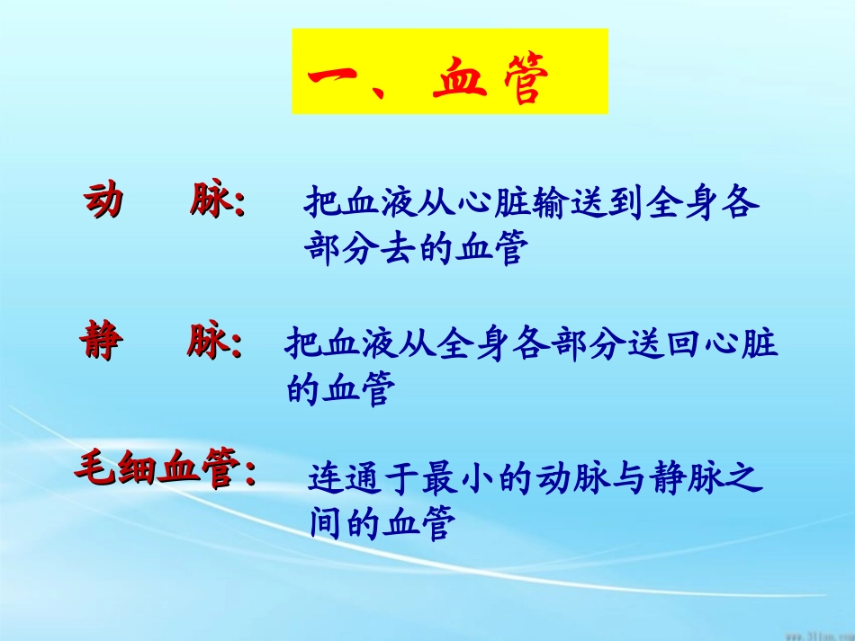 动脉静脉毛细血管_第3页