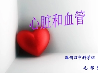 动脉静脉毛细血管