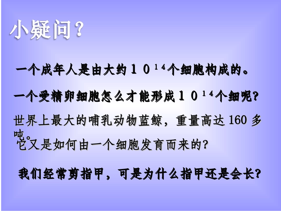 动物细胞有丝分裂.._第2页