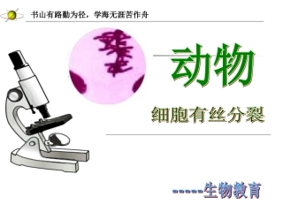 动物细胞有丝分裂..