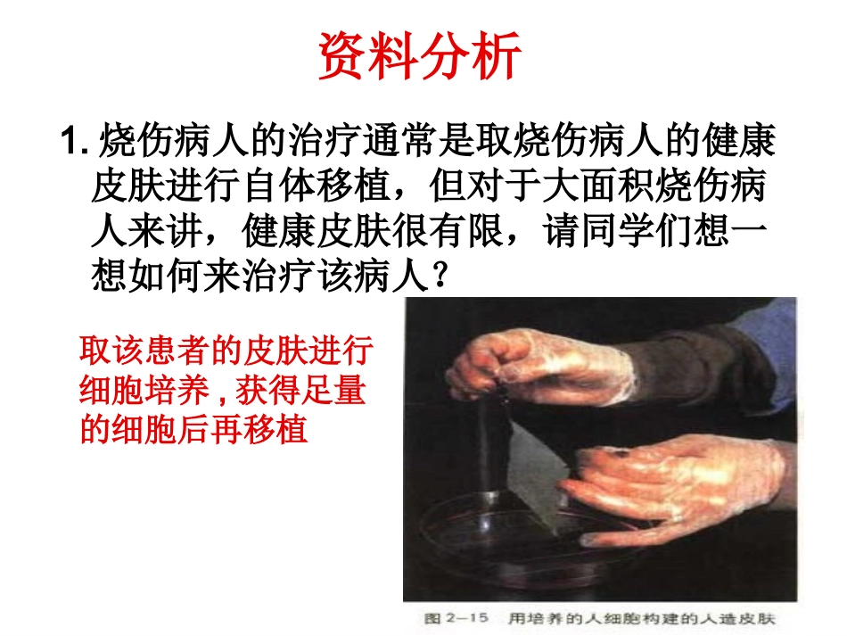 动物细胞工程_第1页