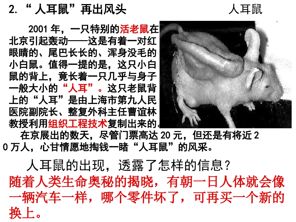 动物细胞工程_第2页